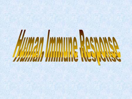 Leukocytes (white blood cells) LymphocytesPhagocytes T CellsB Cells Helper T Cells Killer T Cells Supressor T Cells Natural Killer T Cells Memory T Cells.