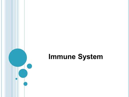 Immune System.