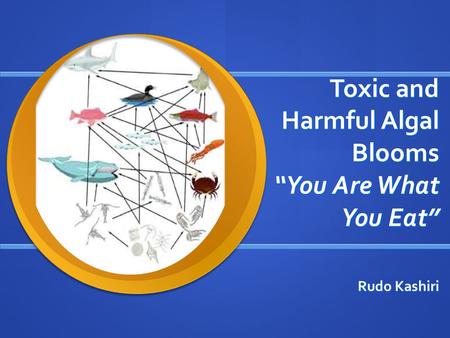 Toxic and Harmful Algal Blooms “You Are What You Eat”