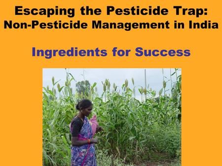 Escaping the Pesticide Trap: Non-Pesticide Management in India Ingredients for Success.