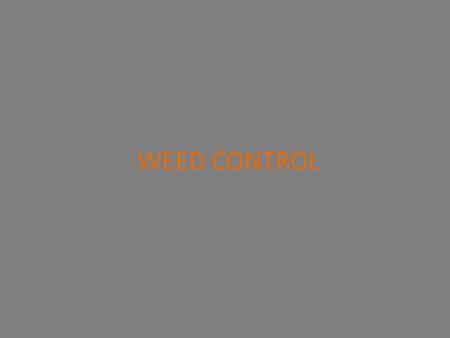 WEED CONTROL. What is a Weed?? What is a Weed? A weed is a plant growing where it is not wanted. Ex. Red rice, Giant Ragweed.