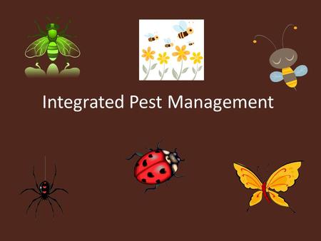 Integrated Pest Management