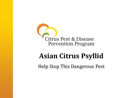 Asian Citrus Psyllid Help Stop This Dangerous Pest.