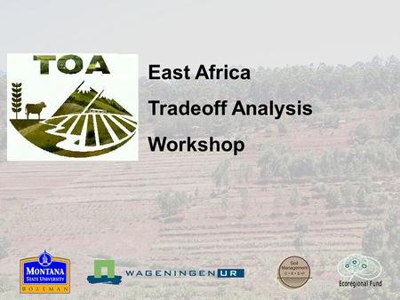 East Africa Tradeoff Analysis Workshop. Workshop goals and strategy Strategy Monday Introduction to TOA approach Tuesday AM Conceptual framework Tuesday.