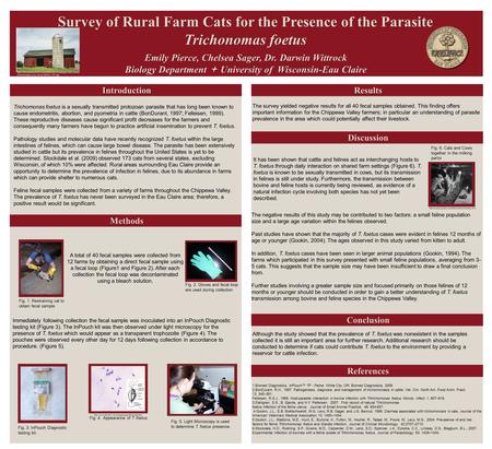 Introduction Introduction Results Results Discussion Discussion Emily Pierce, Chelsea Sager, Dr. Darwin Wittrock Biology Department  University of Wisconsin-Eau.