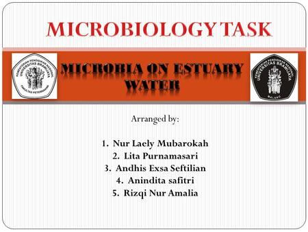 Arranged by: 1.Nur Laely Mubarokah 2.Lita Purnamasari 3.Andhis Exsa Seftilian 4.Anindita safitri 5.Rizqi Nur Amalia.