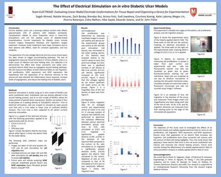 The Effect of Electrical Stimulation on in vitro Diabetic Ulcer Models Team ELECTRODE: Evaluating Linear-Radial Electrode Conformations for Tissue Repair.