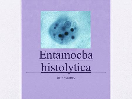 Entamoeba histolytica Beth Wozney. Geographic Distribution Worldwide! Higher rates: Tropical areas.