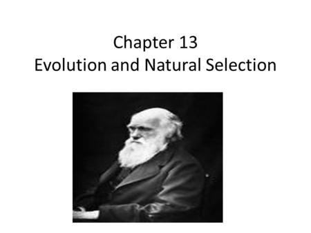 Chapter 13 Evolution and Natural Selection