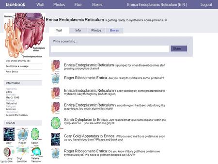 Facebook Enrica Endoplasmic Reticulum is getting ready to synthesize some proteins. WallPhotosFlairBoxesEnrica Endoplasmic Reticulum (E.R.)Logout View.