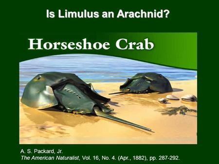 Is Limulus an Arachnid? A. S. Packard, Jr. The American Naturalist, Vol. 16, No. 4. (Apr., 1882), pp. 287-292.