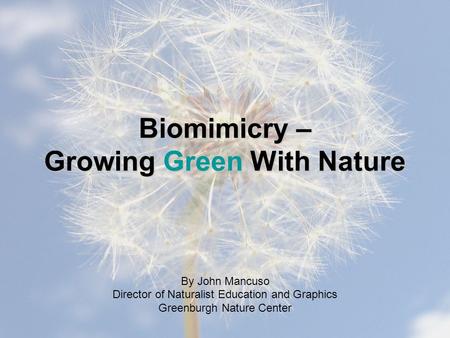 Biomimicry – Growing Green With Nature By John Mancuso Director of Naturalist Education and Graphics Greenburgh Nature Center.