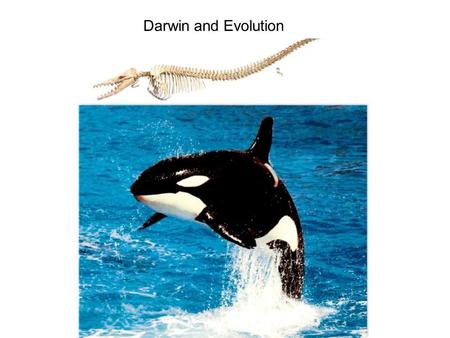 Darwin and Evolution. 17.1 History of Evolutionary Thought 1. In 1831, Charles Darwin, a 22-year-old naturalist, accepted a position aboard the ship HMS.