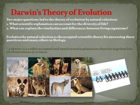 Darwin’s Theory of Evolution