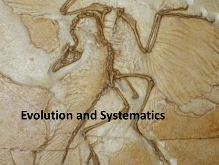 Evolution and Systematics. EARLY THEORIES OF EVOLUTION DARWIN, WALLACE, & THE ORIGIN DARWIN’S THEORIES OF EVOLUTION WHAT EVOLUTION IS NOT MODERN SYNTHESIS.