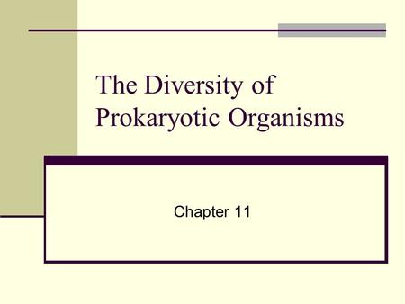 The Diversity of Prokaryotic Organisms