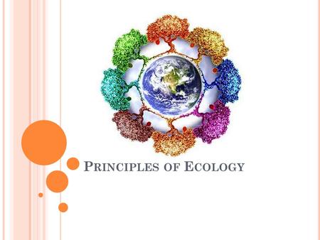 P RINCIPLES OF E COLOGY. E COLOGISTS STUDY ENVIRONMENTS AT DIFFERENT LEVELS OF ORGANIZATION Over their life cycle, Pacific salmon are the main food source.