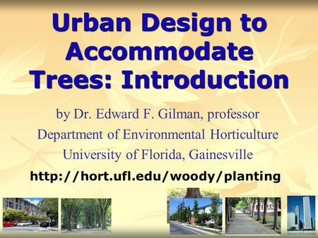 Urban Design to Accommodate Trees: Introduction