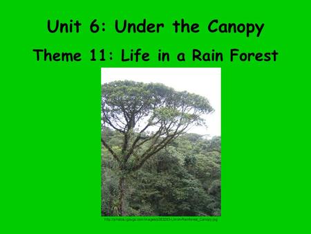 Unit 6: Under the Canopy Theme 11: Life in a Rain Forest