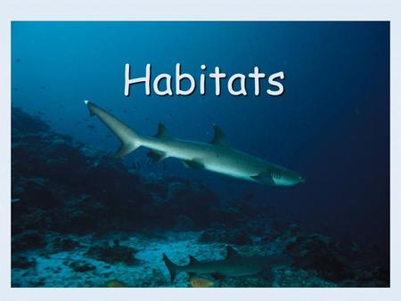 Habitats.