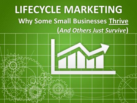 LIFECYCLE MARKETING Why Some Small Businesses Thrive ( And Others Just Survive )