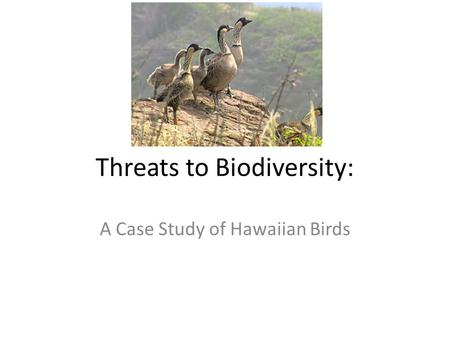 Threats to Biodiversity: