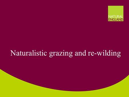 Naturalistic grazing and re-wilding. How do we do conservation? Nature conservation often ‘gardening’ –Inevitable with small sites –Cultural landscapes.