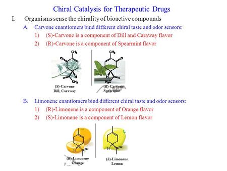 Chiral Catalysis for Therapeutic Drugs I.Organisms sense the chirality of bioactive compounds A.Carvone enantiomers bind different chiral taste and odor.