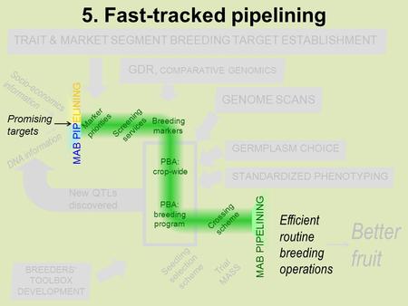 GENOME SCANS New QTLs discovered PBA: crop-wide PBA: breeding program Breeding markers Screening services Marker priorities Crossing scheme Trial MASS.