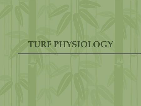 TURF PHYSIOLOGY.