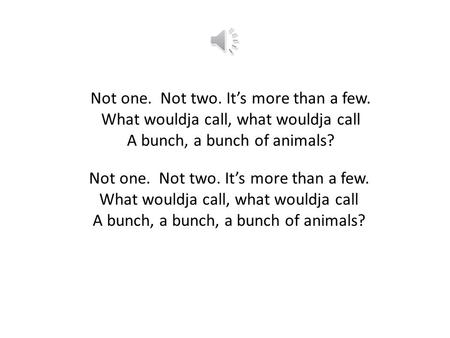 Not one. Not two. It’s more than a few. What wouldja call, what wouldja call A bunch, a bunch of animals? Not one. Not two. It’s more than a few. What.