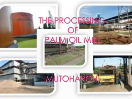 THE PROCESSING OF PALM OIL MILL MUTOHAROH