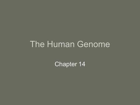 The Human Genome Chapter 14.