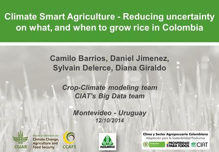 Climate Smart Agriculture - Reducing uncertainty on what, and when to grow rice in Colombia Camilo Barrios, Daniel Jimenez, Sylvain Delerce, Diana Giraldo.