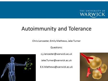 Autoimmunity and Tolerance Chris Lancaster, Emily Mathews, Jake Turner Questions: