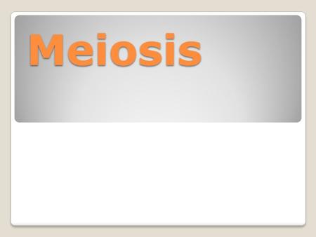 Meiosis.