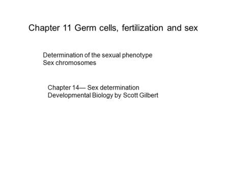 Chapter 11 Germ cells, fertilization and sex