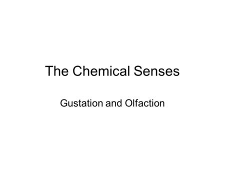 The Chemical Senses Gustation and Olfaction. The peripheral taste system Primary receptors: about 4000 taste buds in tongue and oral cavity Each taste.