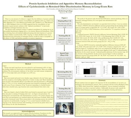 Protein Synthesis Inhibition and Appetitive Memory Reconsolidation: Effects of Cycloheximide on Retrained Odor Discrimination Memory in Long-Evans Rats.