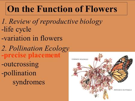 1. Review of reproductive biology 2. Pollination Ecology On the Function of Flowers -precise placement -outcrossing -pollination syndromes -life cycle.