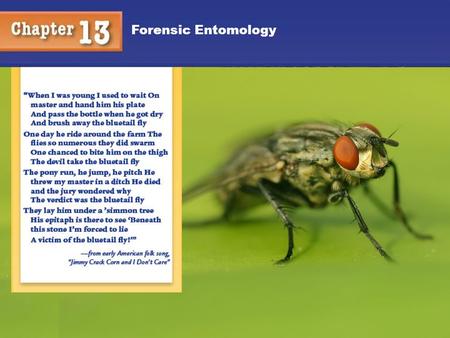 Forensic Entomology 1. 2 You will understand: The stages of death. The role insects play in the decomposition of carrion. Postmortem interval and how.