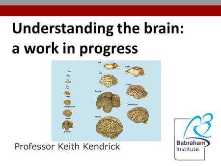 Understanding the brain: a work in progress. The brain performs an incredible range of functions Controls body functions and motivates us to obtain appropriate.