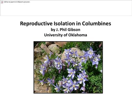 Reproductive Isolation in Columbines University of Oklahoma