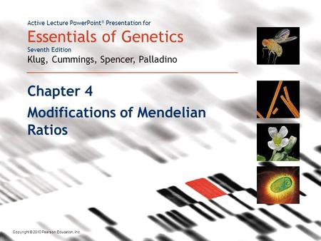 Modifications of Mendelian Ratios