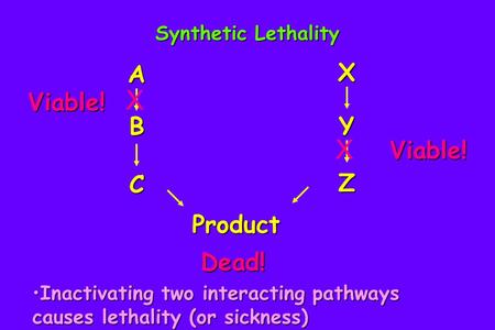 X X X A Viable! B Y Viable! Z C Product Dead! Synthetic Lethality