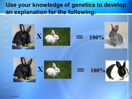 Use your knowledge of genetics to develop an explanation for the following: = 100% X = 100% 4/15/2017.