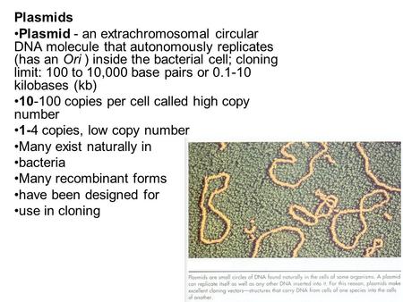 Plasmids Plasmid - an extrachromosomal circular DNA molecule that autonomously replicates (has an Ori ) inside the bacterial cell; cloning limit: 100 to.