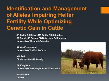 Identification and Management of Alleles Impairing Heifer Fertility While Optimizing Genetic Gain in Cattle JF Taylor, DS Brown, MF Smith, RD Schnabel,