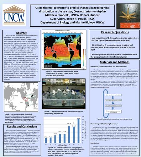 Using thermal tolerance to predict changes in geographical distribution in the sea star, Coscinasterias tenuispina Matthew Okoneski, UNCW Honors Student.