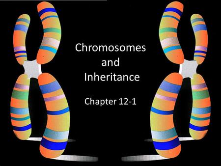 Chromosomes and Inheritance